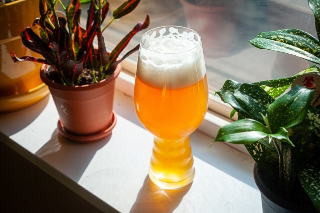 Brew Beer within your house – Five Approaches For Brewing Beer In Your House Perfection